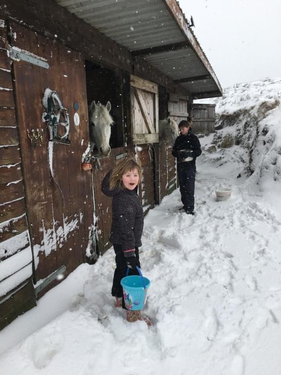 Дома для отпуска BunkHouse - Letterfrack Farm Леттерфрак-43